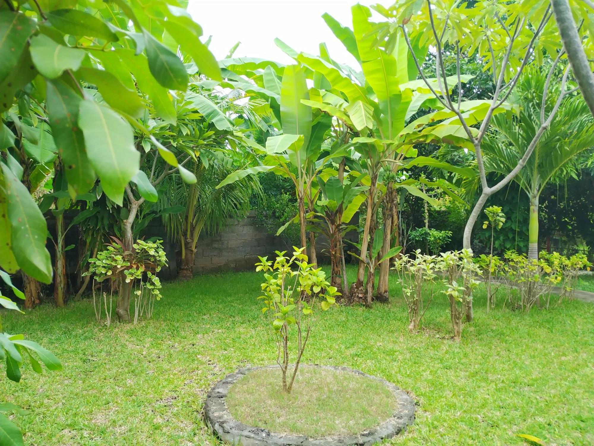 Asih Homestay Pemuteran Extérieur photo