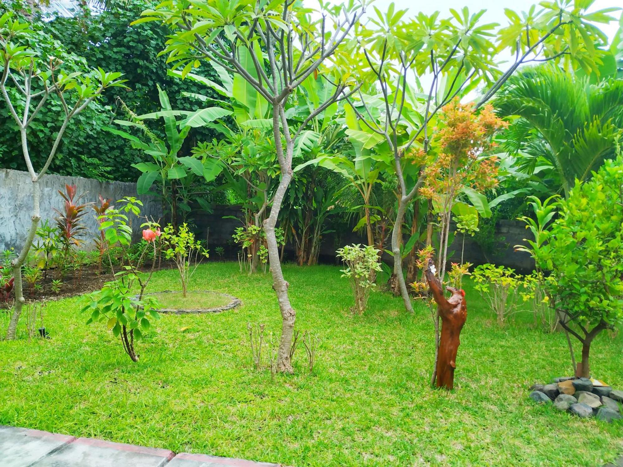Asih Homestay Pemuteran Extérieur photo