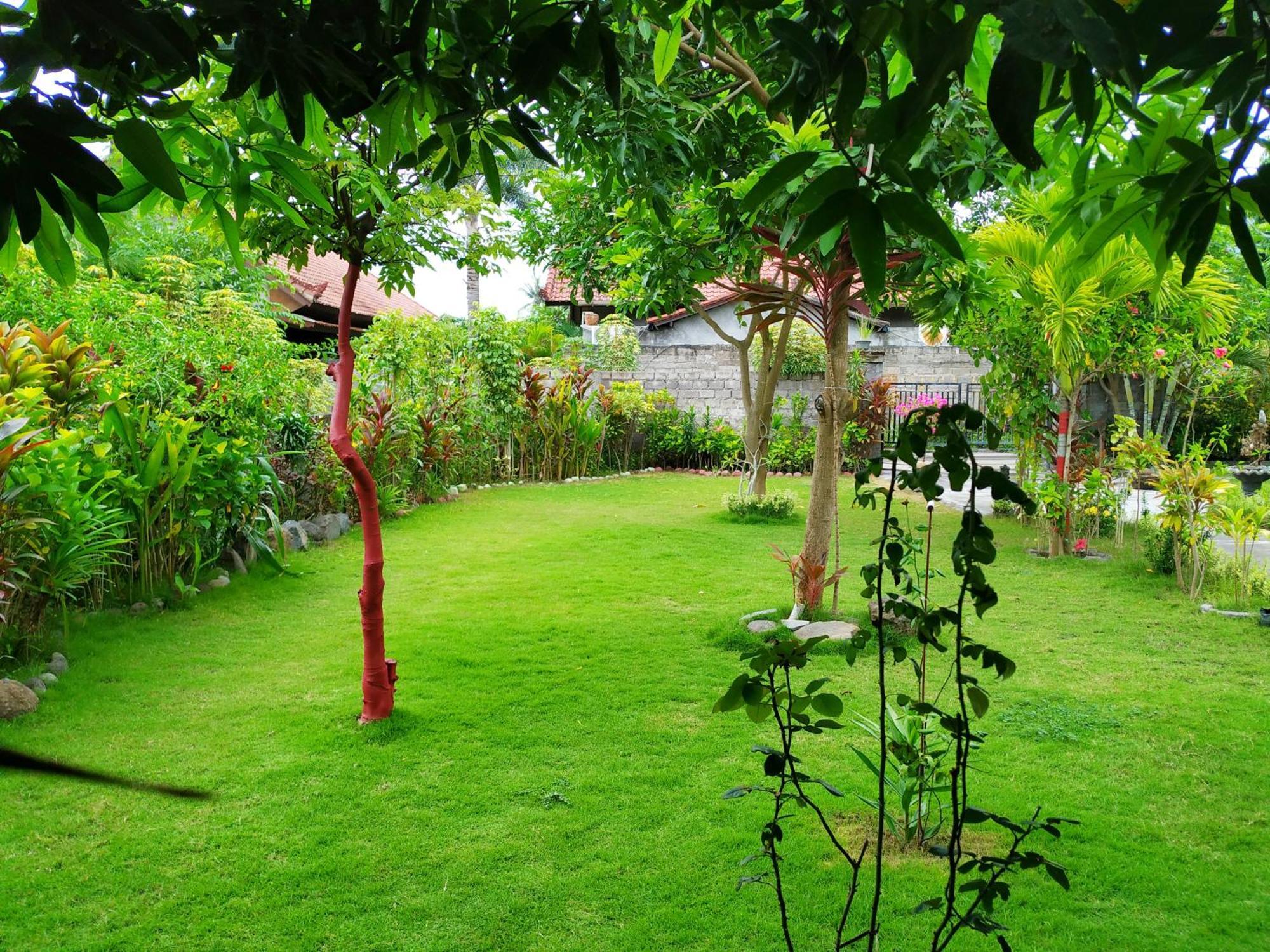 Asih Homestay Pemuteran Extérieur photo