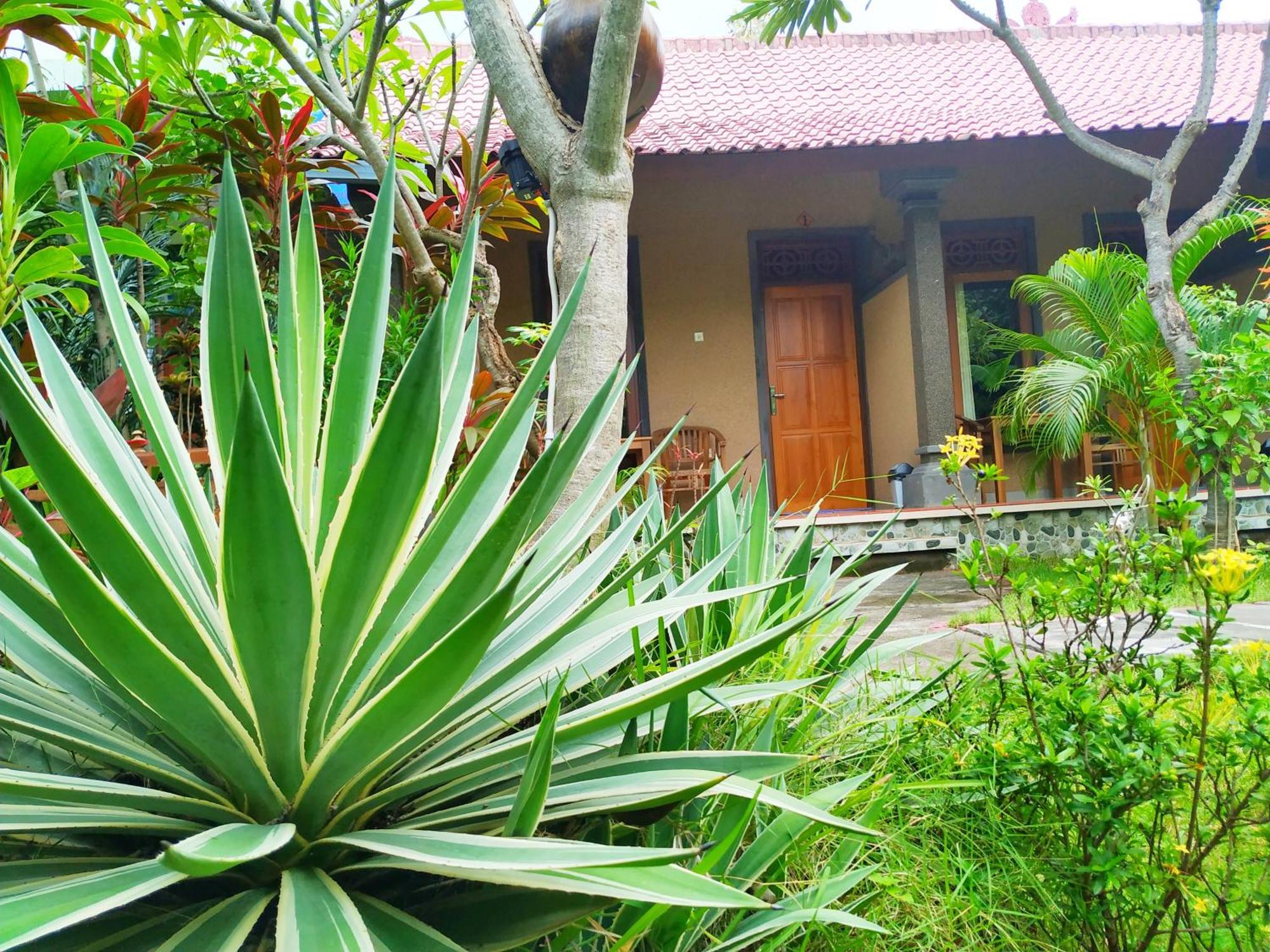Asih Homestay Pemuteran Extérieur photo